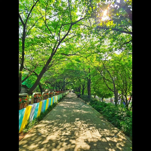 피드 이미지
