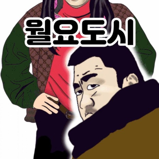 피드 이미지