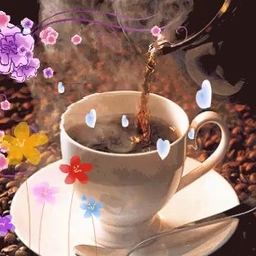 피드에 업로드 된 이미지