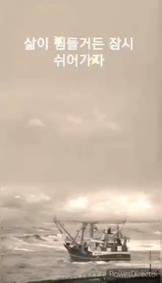 피드에 업로드 된 이미지