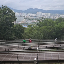 피드에 업로드 된 이미지
