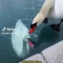 피드에 업로드 된 이미지