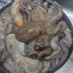 피드에 업로드 된 이미지