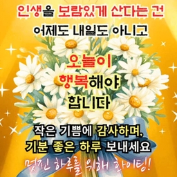피드에 업로드 된 이미지