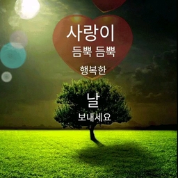 피드에 업로드 된 이미지