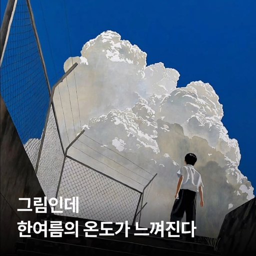 피드 이미지