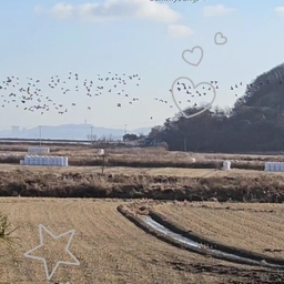 피드에 업로드 된 이미지