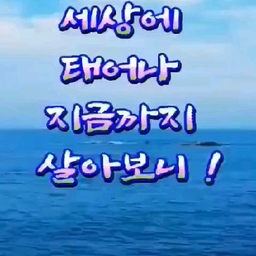 피드에 업로드 된 이미지