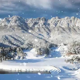 피드에 업로드 된 이미지