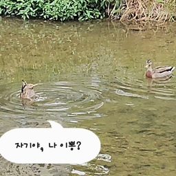 피드에 업로드 된 이미지