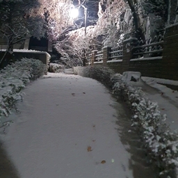 피드에 업로드 된 이미지