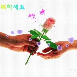 피드에 업로드 된 이미지