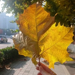 피드에 업로드 된 이미지