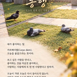 피드에 업로드 된 이미지