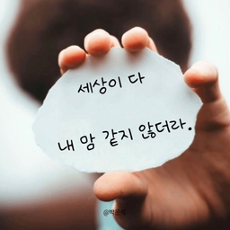 피드에 업로드 된 이미지