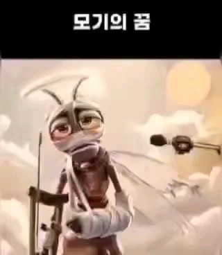 피드 이미지