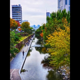 피드에 업로드 된 이미지