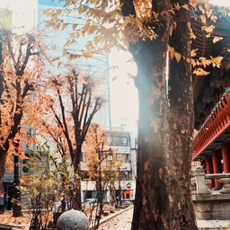 피드에 업로드 된 이미지