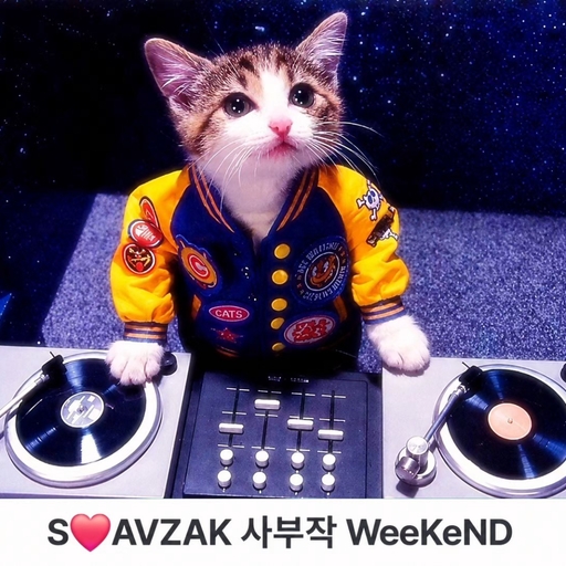 피드 이미지