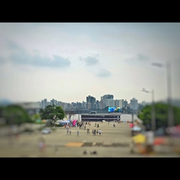 피드에 업로드 된 이미지