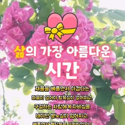 피드에 업로드 된 이미지