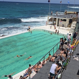 피드에 업로드 된 이미지