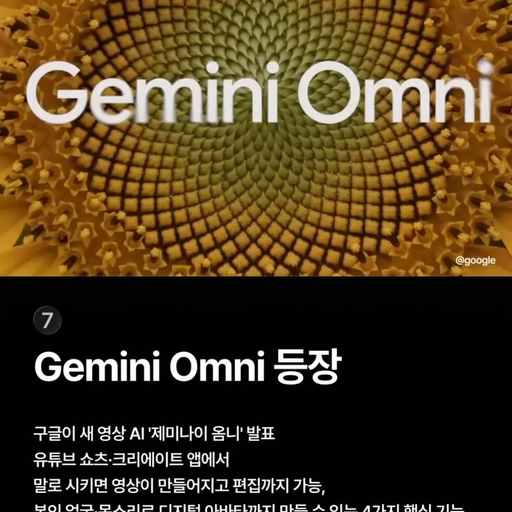 피드 이미지