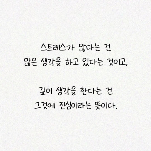 피드 이미지