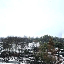 피드에 업로드 된 이미지