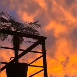 피드에 업로드 된 이미지