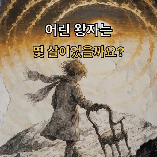피드 이미지