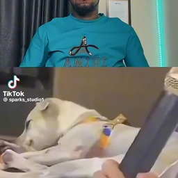 피드에 업로드 된 이미지