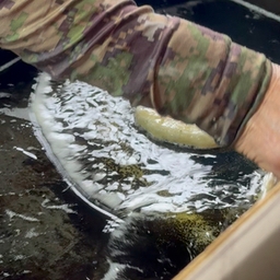 피드에 업로드 된 이미지