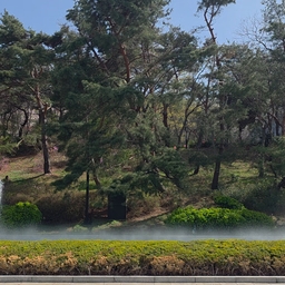 피드에 업로드 된 이미지