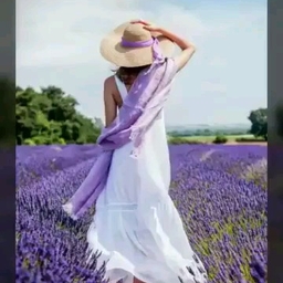 피드에 업로드 된 이미지