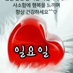 피드에 업로드 된 이미지
