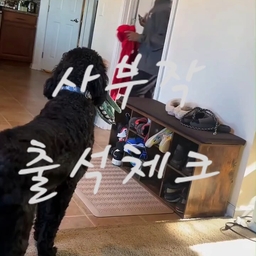피드에 업로드 된 이미지