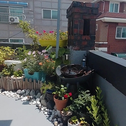 피드에 업로드 된 이미지