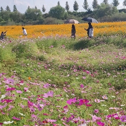 피드에 업로드 된 이미지