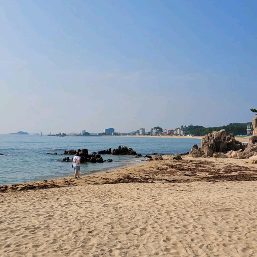 피드 이미지