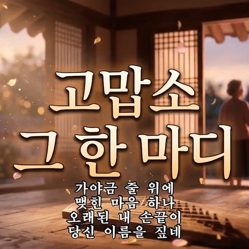 피드 이미지