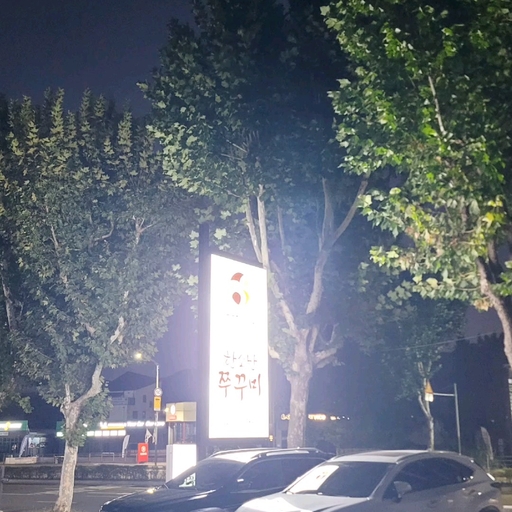 피드 이미지