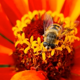 피드에 업로드 된 이미지