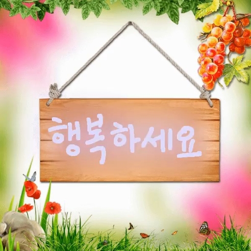 피드 이미지