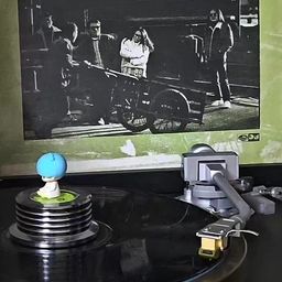 피드에 업로드 된 이미지