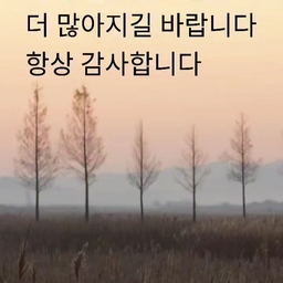 피드에 업로드 된 이미지