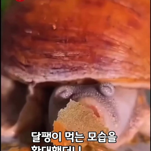 피드 이미지