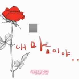 피드에 업로드 된 이미지