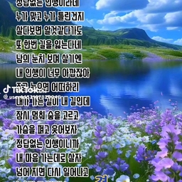 피드에 업로드 된 이미지
