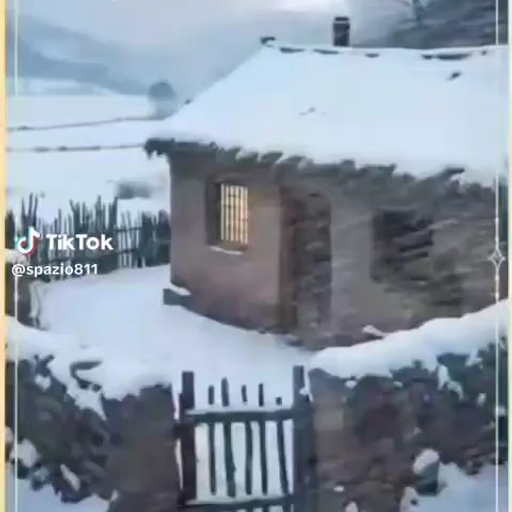 피드 이미지